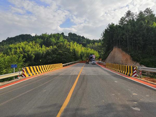 Bridge reflective paint